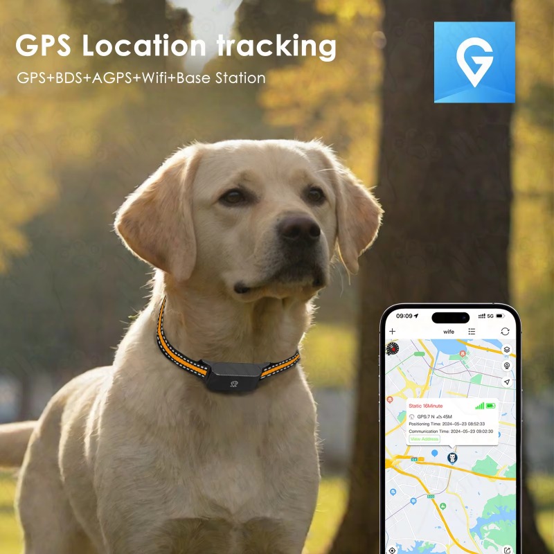 جهاز تتبع GPS للكلاب للاستخدام - مراجعة Outdoor Hunting Dogs وسعره