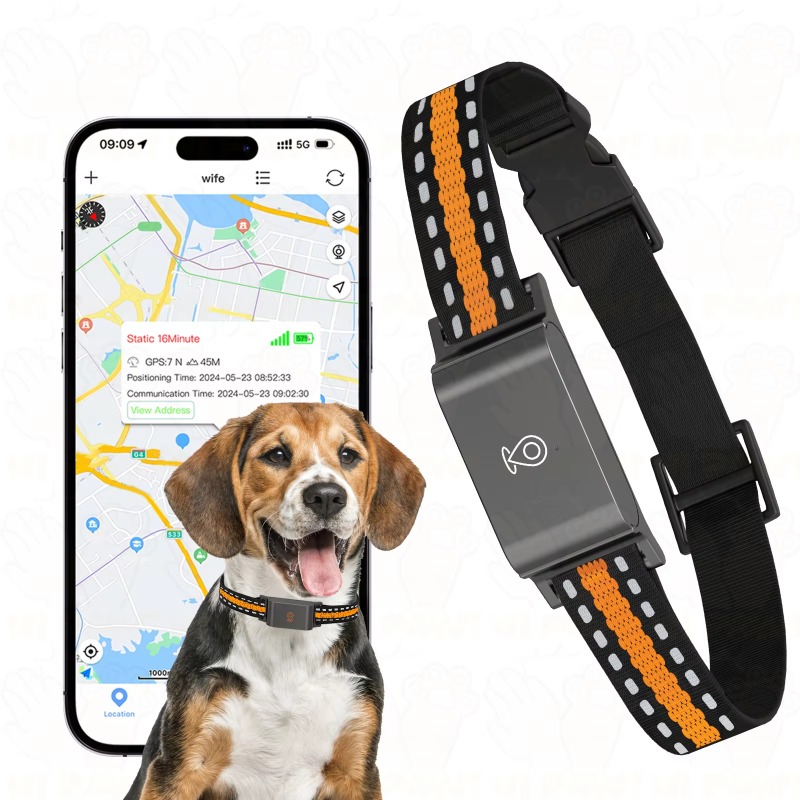 جهاز تتبع GPS للكلاب للاستخدام - مراجعة Outdoor Hunting Dogs وسعره